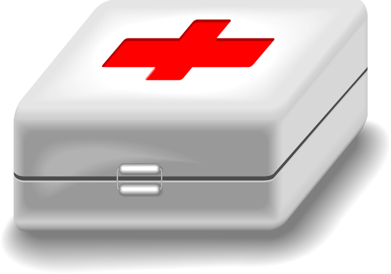 Schulsanitätsdienst