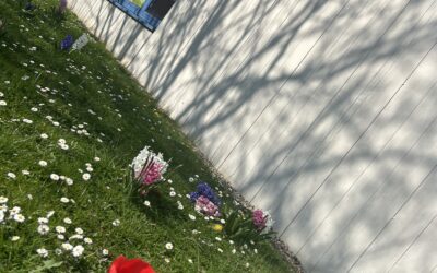 Willi-Wisch-Tag: Unser Jahrgang 7 räumt auf!